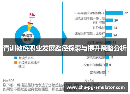 青训教练职业发展路径探索与提升策略分析 青训教练职业发展路径探索与提升策略分析