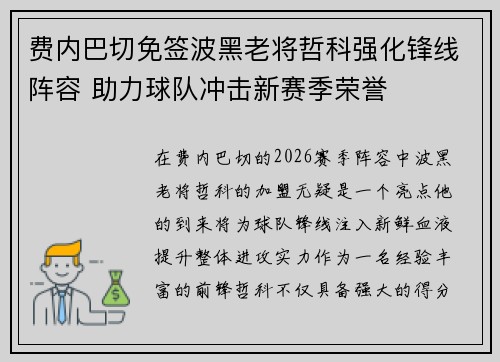 费内巴切免签波黑老将哲科强化锋线阵容 助力球队冲击新赛季荣誉