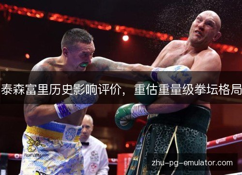 泰森富里历史影响评价，重估重量级拳坛格局